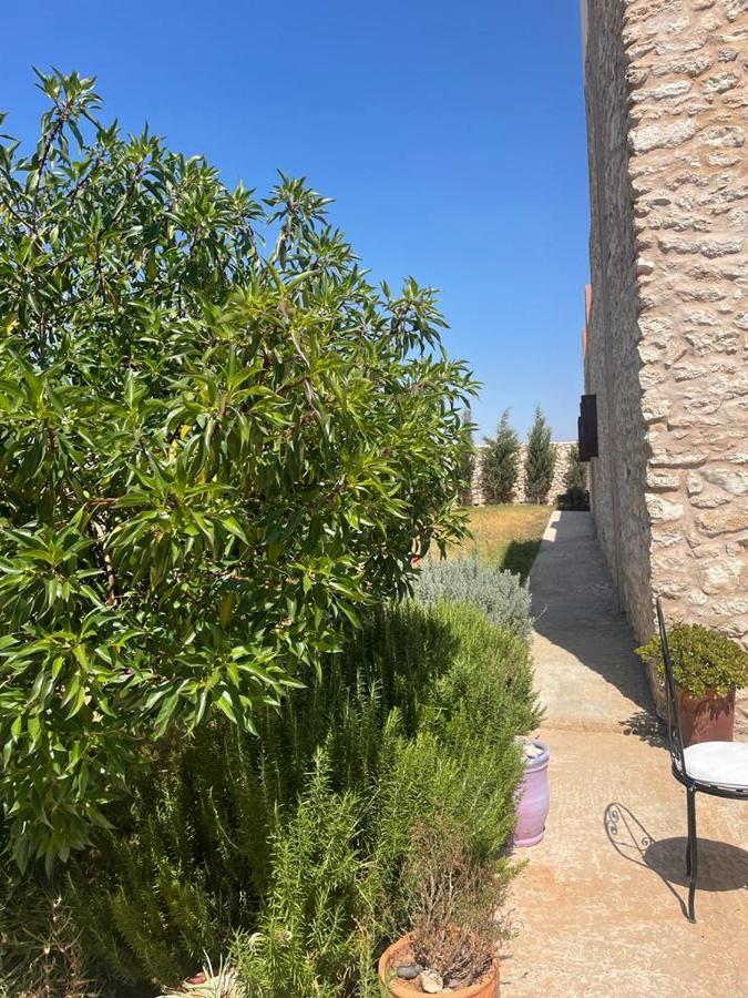 Rabia Homestay Sidi Kaouki