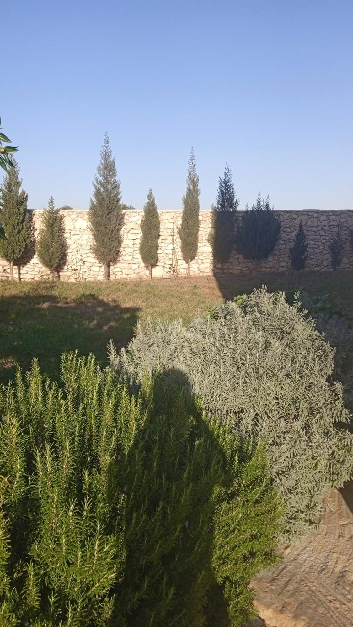 Rabia Sidi Kaouki